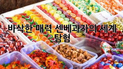 바삭한 매력! 센베과자의 세계 탐험