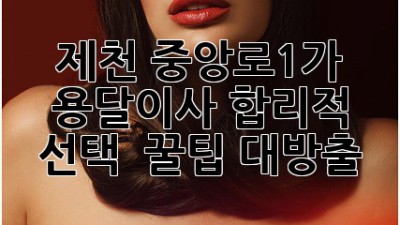 제천 중앙로1가 용달이사🚚 합리적 선택 & 꿀팁🍯 대방출!