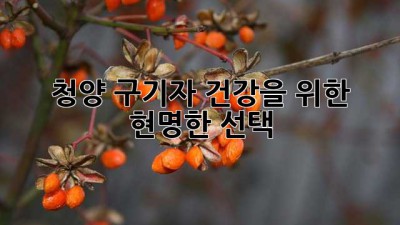 청양 구기자, 건강을 위한 현명한 선택