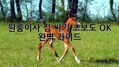원룸이사 짐 싸기📦 초보도 OK! 완벽 가이드✨
